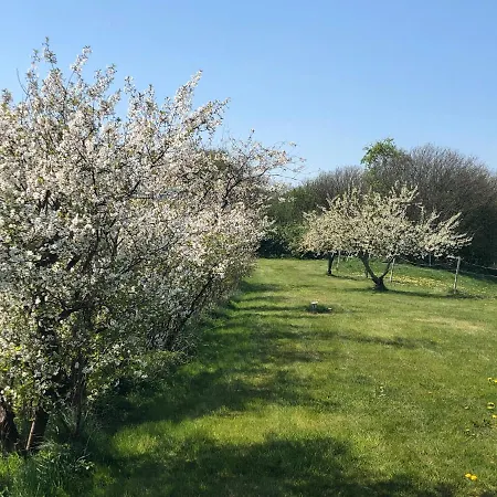 Am Muehlenhuegel Stedesdorf