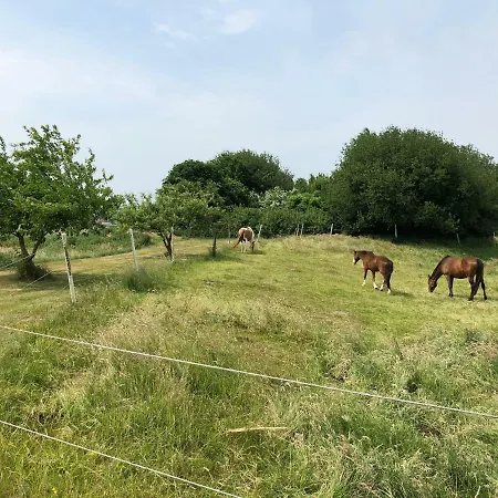 Appartement Am Muehlenhuegel Stedesdorf