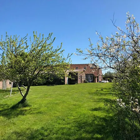 Am Muehlenhuegel Apartment