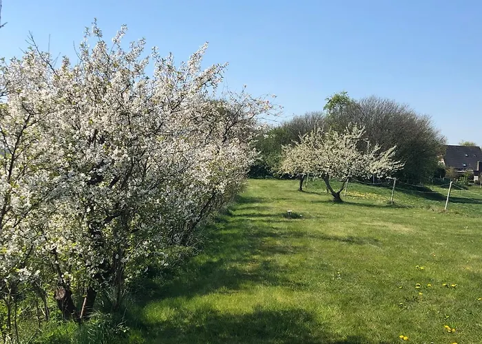 Am Muehlenhuegel Stedesdorf