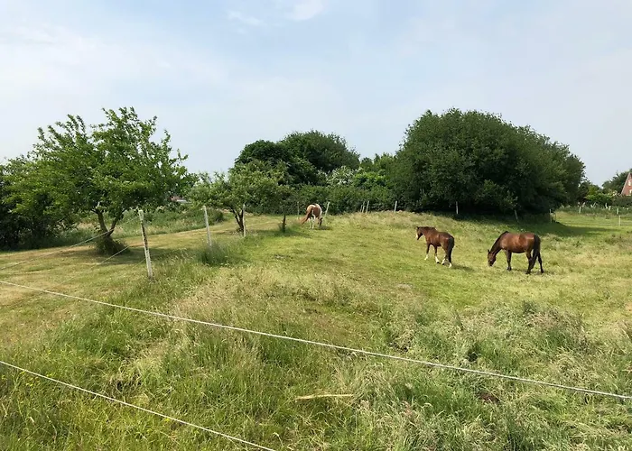 公寓 Am Muehlenhuegel Stedesdorf