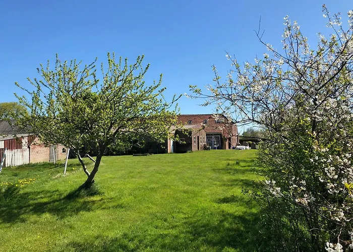 Am Muehlenhuegel 아파트